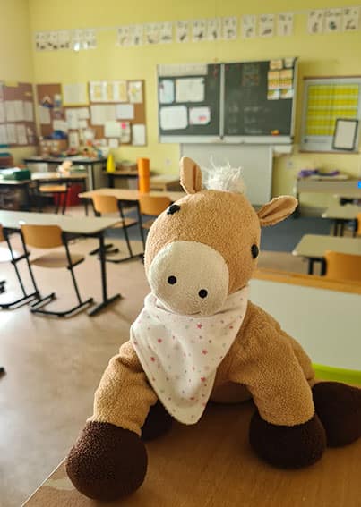 Die Ponyklasse 1/2 B Klassentier Pony